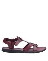 LA ROSE Sandals