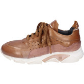 Moma  Sneakers Leather Suede  women's Shoes (Trainers) in Brown