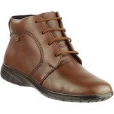 Cotswold  Bibury  women's Low Ankle Boots in Brown