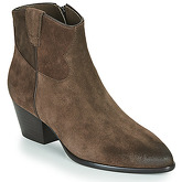 Ash  HOUSTON  women's Low Ankle Boots in Brown