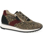 Gabor  Cara Womens Casual Trainers  women's Shoes (Trainers) in Multicolour