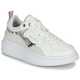 Ted Baker  ARELLIS  women's Shoes (Trainers) in White