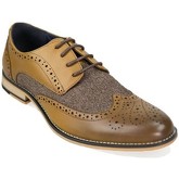 House Of Cavani  Horatio  men's Casual Shoes in Other