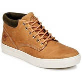 Timberland  ADVENTURE 2.0 CUPSOLE CHK  men's Shoes (High-top Trainers) in Brown