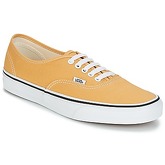 Vans  Authentic  men's Shoes (Trainers) in Yellow