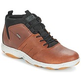 Geox  U NEBULA 4 X 4 B ABX  men's Shoes (High-top Trainers) in Brown