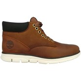 Timberland  Bradstreet Chucka  men's Shoes (High-top Trainers) in Brown
