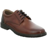 Josef Seibel  Alastair 01 Mens Formal Lace Up Shoes  men's Casual Shoes in Brown