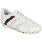 Geox  U WELLS  men's Shoes (Trainers) in White