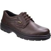 Cotswold  Shipston  men's Casual Shoes in Brown