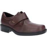 Cotswold  Cleeve  men's Casual Shoes in Brown