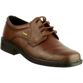 Cotswold  Sudeley  men's Casual Shoes in Brown