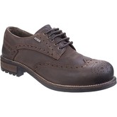 Cotswold  2142WP Oxford  men's Casual Shoes in Brown