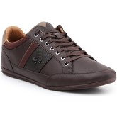 Lacoste  Chaymon 118 1 CAM DK 7-35CAM00112E2  men's Shoes (Trainers) in Brown