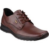 Cotswold  Dudley  men's Casual Shoes in Brown