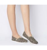 Toms Seasonal Classic Slip On LEO PRINT