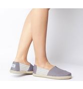 Toms Ivy League Alpargata DRIZZLE GREY STRIPES