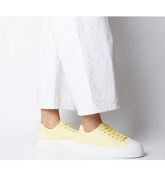 Office Feast Canvas Lace Up YELLOW CANVAS