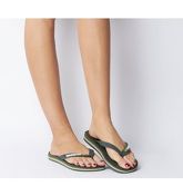 Havaianas Brasil Logo GREEN OLIVE