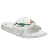 Ted Baker Avelini Slide FORTUNE WHITE