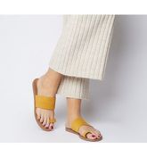 Office Scuba- Two Part Toe Loop MUSTARD SUEDE