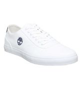 Timberland Union Sneaker Exclusive WHITE CANVAS