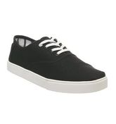 Toms Cordones BLACK HERITAGE