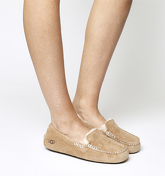 UGG Ansley Slippers CHESTNUT SUEDE