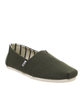 Toms Classic PINE HERITAGE