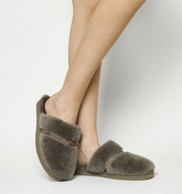 UGG Dala Slipper SLATE SUEDE