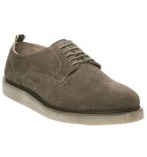 Office Cade Derby TAUPE SUEDE