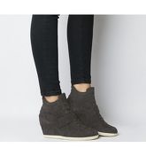 Ash Bowie Hi Top Wedge Sneaker GREY