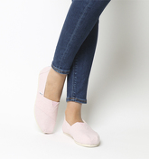 Toms Alpargata BLOSSOM SLUB CHAMBRAY