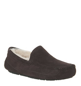 UGG Ascot Slipper ESPRESSO SUEDE NEW