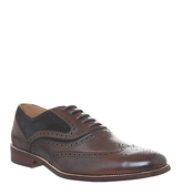 Office Infuse Brogue CHOC CHOC SUEDE LEATHER