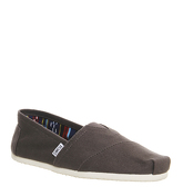 Toms Classic ASH CANVAS