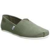 Toms Classic DEEP LICHEN SMU