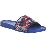 Ted Baker Sauldi 2 Synt Am BLUE MULTI