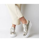 Office Frills- Flatform Lace Up NATURAL SNAKE