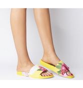 Ted Baker Avelini Slide MAGNIFICENT YELLOW