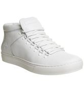 Timberland Adventure 2.0 Cupsole Chukka WHITE SMOOTH