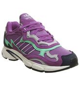 adidas Temper Run SHOCK PURPLE GLOW