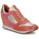 Ash  DEAN BIS  women's Shoes (Trainers) in Gold