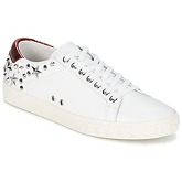 Ash  DAZED  women's Shoes (Trainers) in White