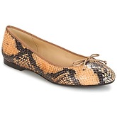 Betty London  MICORO  women's Shoes (Pumps / Ballerinas) in Brown
