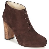 Betty London  PANAY  women's Low Ankle Boots in Brown