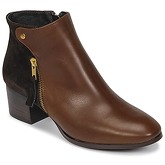 Betty London  JABADA  women's Low Ankle Boots in Brown