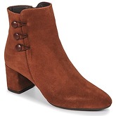 Betty London  JOYE  women's Low Ankle Boots in Brown