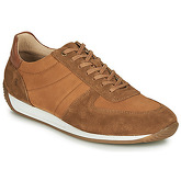 Casual Attitude  LARY  men's Shoes (Trainers) in Brown