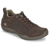 Caterpillar  ARISE  men's Shoes (Trainers) in Brown